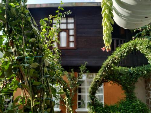 Casa Tranquila Con Mirador De San Crist�bal #1