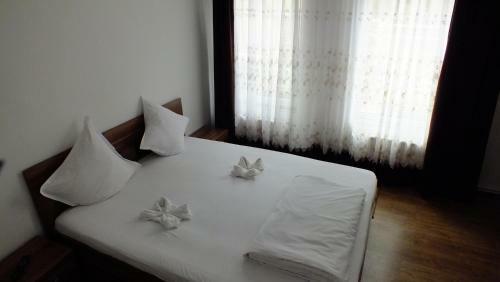 Hostal Cabana Plapumioara