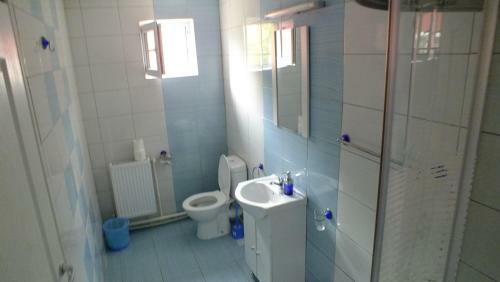 Hostal Cabana Plapumioara