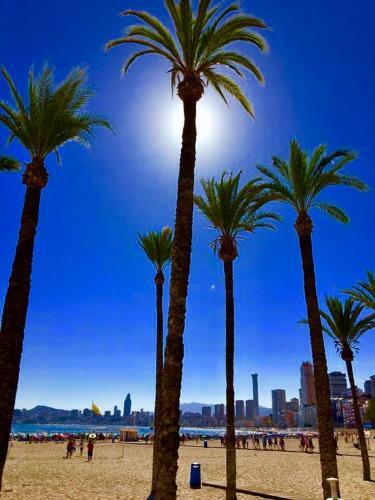 Apartamento Gran Park Benidorm