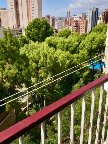 Apartamento Gran Park Benidorm