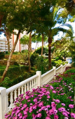 Apartamento Gran Park Benidorm