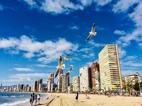 Apartamento Levante Beach Penthouse