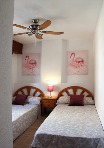 Apartamentos Carlos V Levante