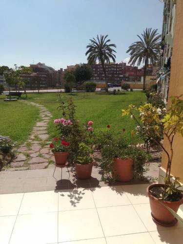 Apartamento Alegria Del Mar