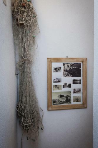 Apartamentos Guest Accomodation Dall' Antiquario