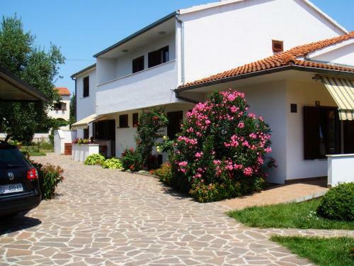 Apartments Medusa 3
