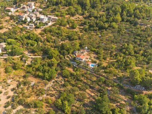 Villa Makarska 1
