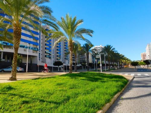 Apartamento Buena Vista 7
