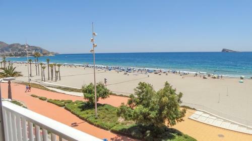 Preciso Apartamento En Primera Linia