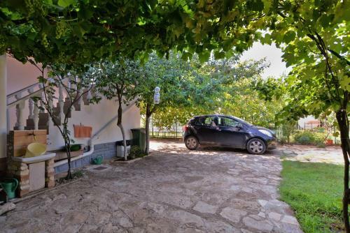 Apartment Ana 1725