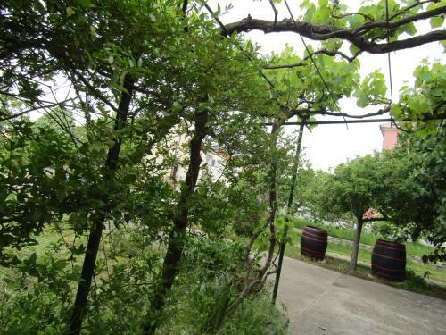 Apartamento Green Gardens 2