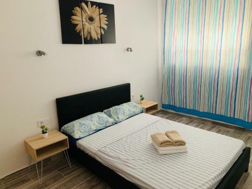 Apartamentos Pino Central
