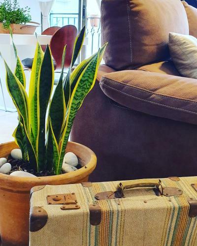 Apartamento La Pineta