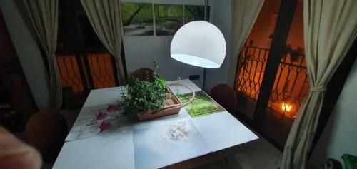 Apartamento La Pineta