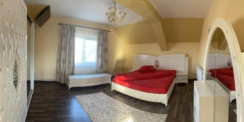 Hostal Pensiunea Novis