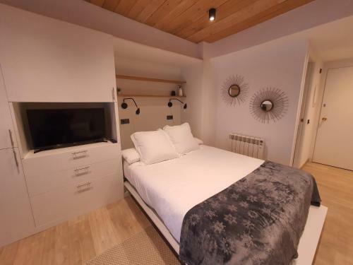 Apartamento Estudio Vielha XX