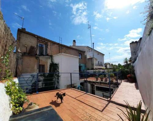 Cal Cup Casa Reposo Vacacional