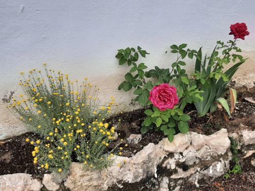 Agroturismo Casa Rural "garnacha De Borja"