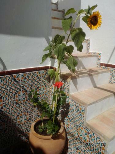 La Puerta Azul
