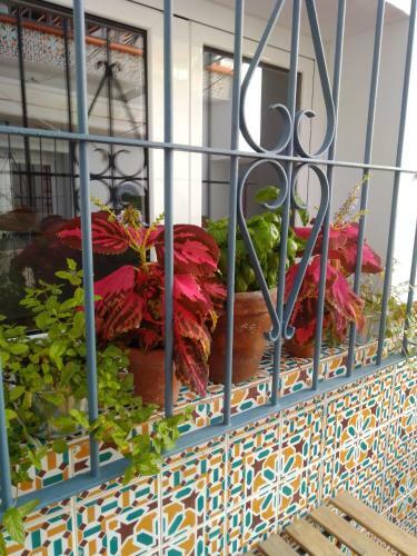 La Puerta Azul