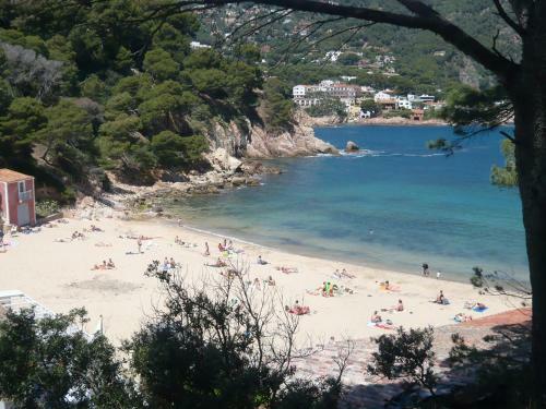 Apartamento Bravaholidays-41-neptuno