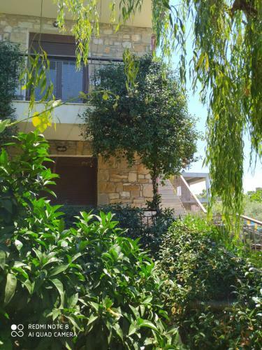 Apartamento Morfili Villa