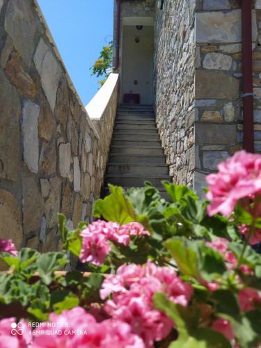 Apartamento Morfili Villa