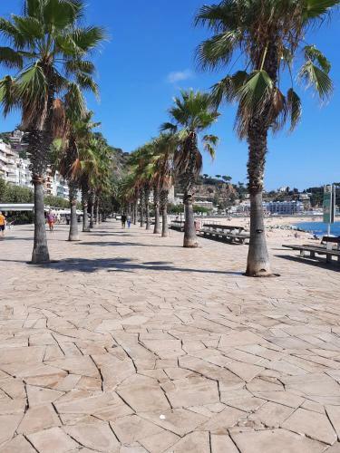 Habitaci�n Delante de La Playa Blanes