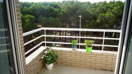 Bonic Apartament Al Centre