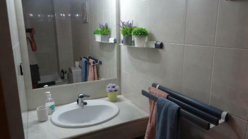 Bonic Apartament Al Centre