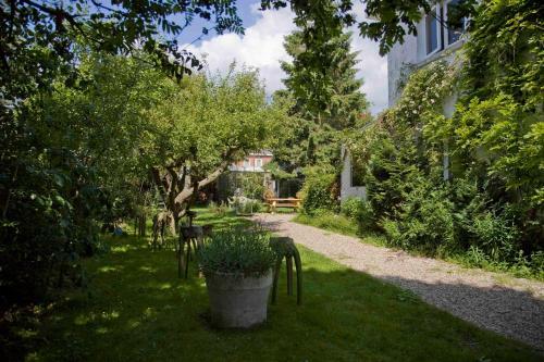 Bed & Breakfast Achter Het Witte Huis