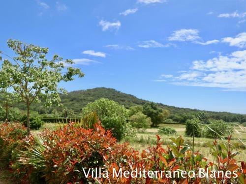 Agroturismo Naturetreehouse Casa Sobre Los �rboles