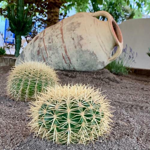 Agroturismo Naturetreehouse Casa Sobre Los �rboles