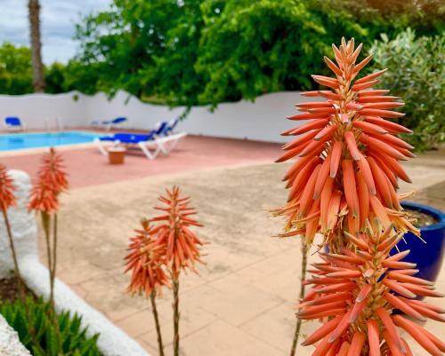 Agroturismo Naturetreehouse Casa Sobre Los �rboles