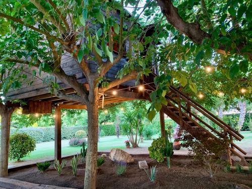 Agroturismo Naturetreehouse Casa Sobre Los �rboles
