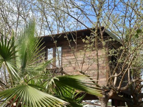 Agroturismo Naturetreehouse Casa Sobre Los �rboles