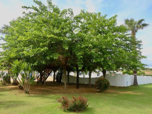 Agroturismo Naturetreehouse Casa Sobre Los �rboles