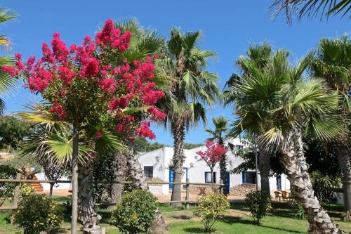 Agroturismo Naturetreehouse Casa Sobre Los �rboles