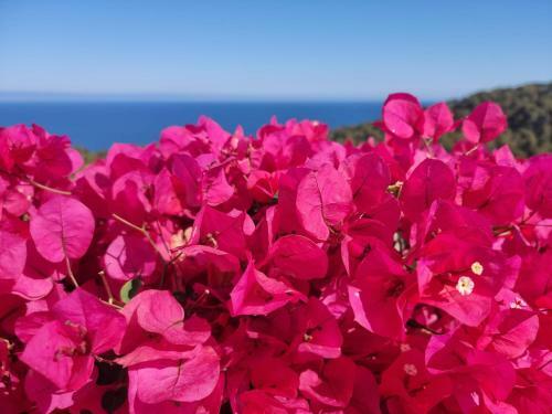 Apartamento Your Paradise At Costa Brava
