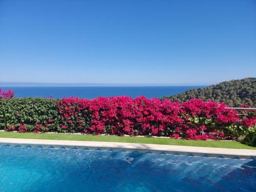 Apartamento Your Paradise At Costa Brava