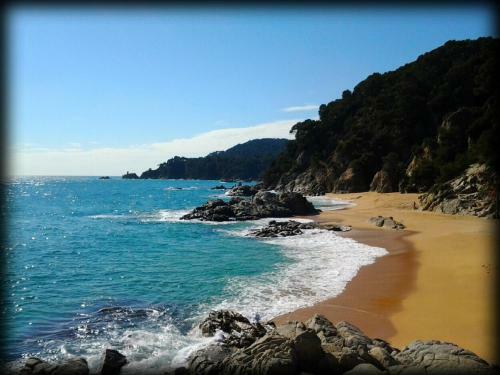 Apartamento Your Paradise At Costa Brava