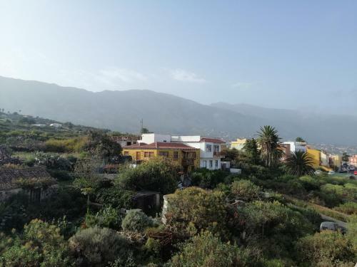 Apartamento �tico San Jos� - Casitas Las Abuelas