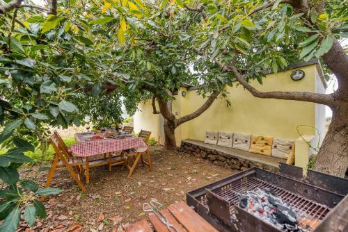 La Casa Del Aguacate, Avocado House