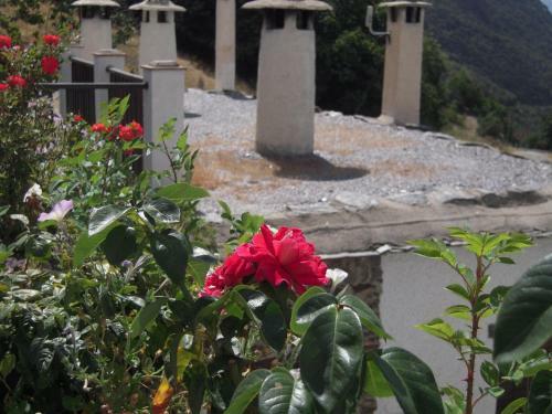 Apartamento La Ermita Del Poqueira