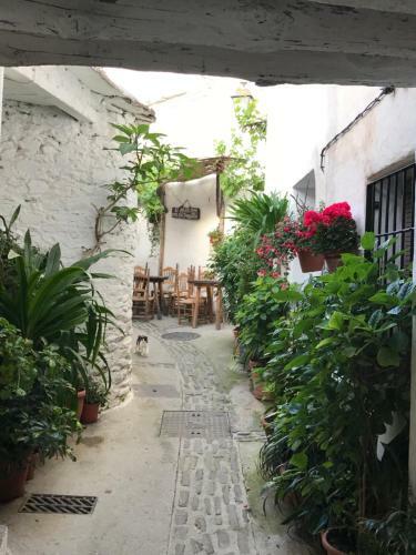 Apartamento La Ermita Del Poqueira