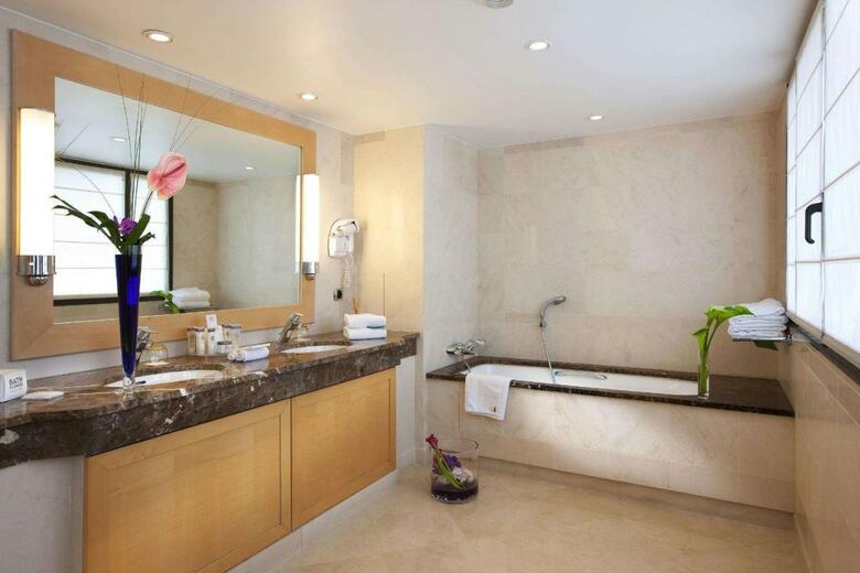 Hotel Hyatt Regency Nice Palais De La M�diterran�e
