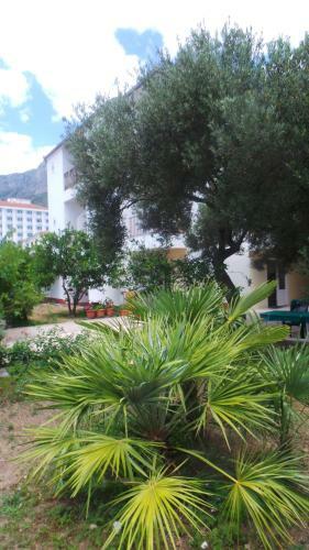 Bed & Breakfast Pension Vice