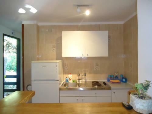 Hostal Guesthouse Lisica