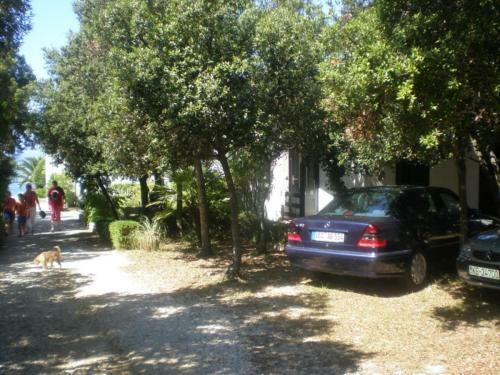 Hostal Guesthouse Lisica